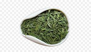 信陽毛Jianの中国の緑茶は選ばれた緑の茶葉の自然な十分平らにしました